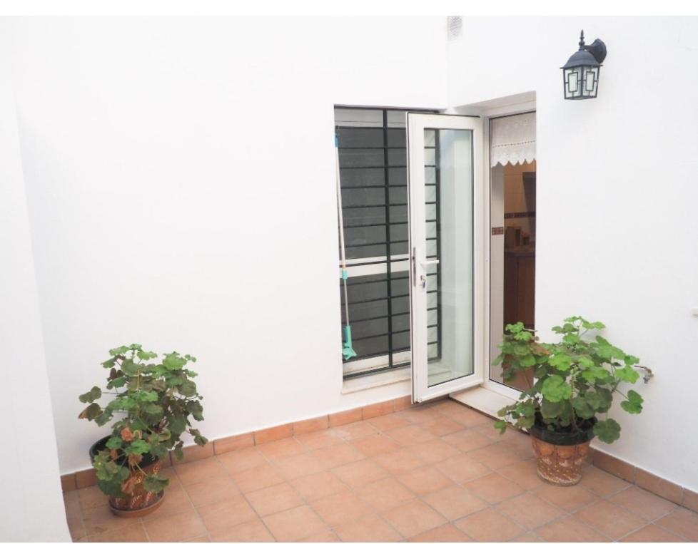 Conilplus Apartment Castilnovo Conil De La Frontera Eksteriør billede